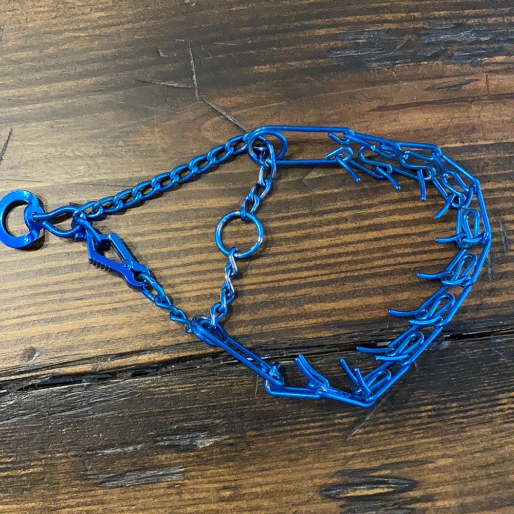 Prong Collar